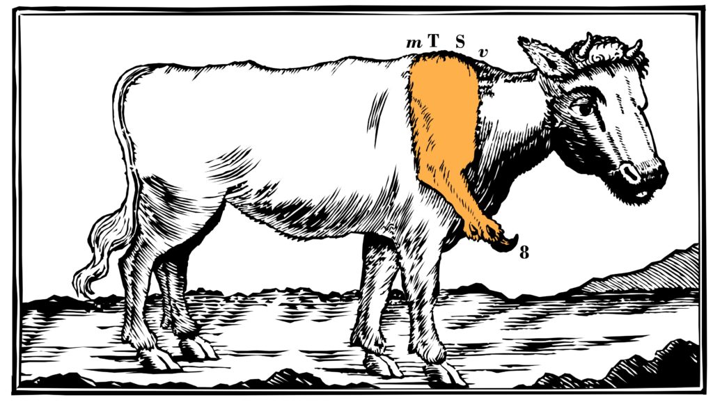 Philosophies de la nature et littérature
