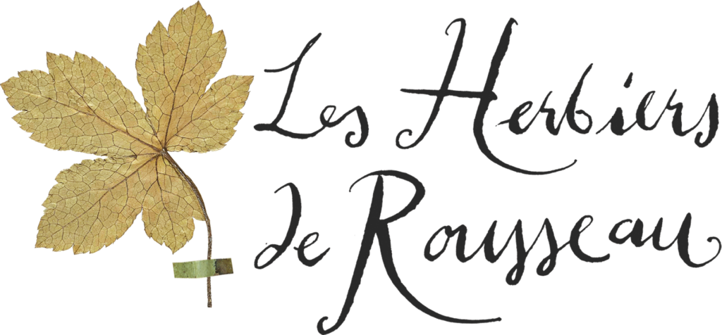 En collaboration avec onze institutions suisses et françaises, le site « Les herbiers de Rousseau » rassemble en ligne les numérisations des collections des herbiers qui ont subsisté.